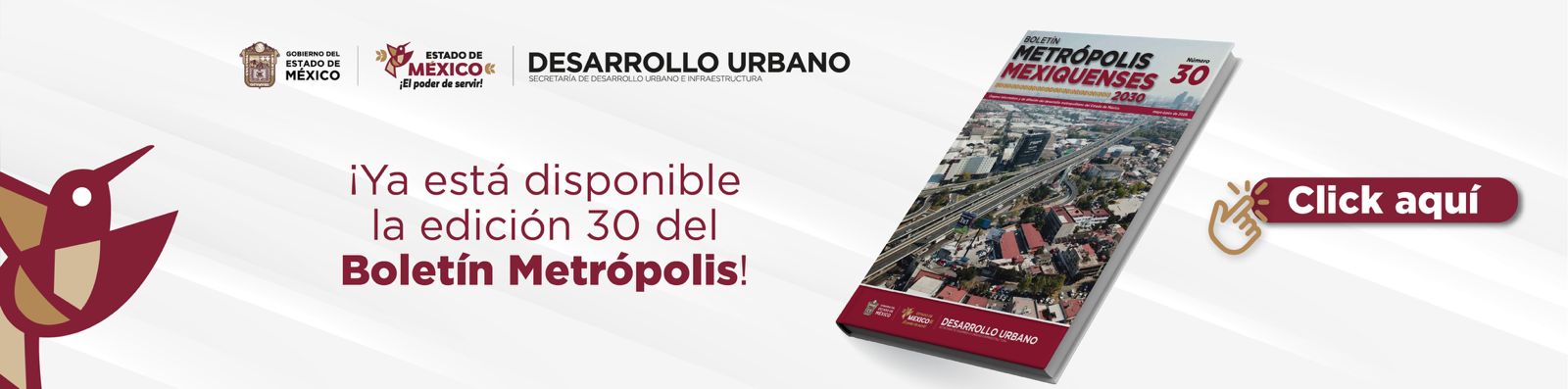 banner del Boletín Metrópolis No. 30